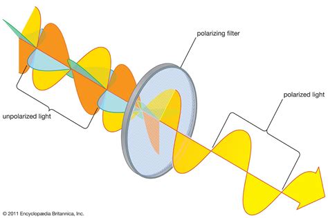 polarimeter polarizing filters are parallel or perpendicular|polarization of electrical fields.